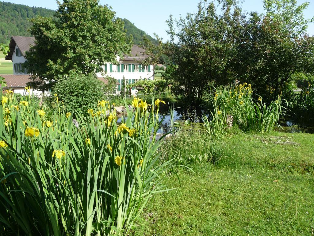 Bed and Breakfast Gastehaus Zum Tulpenbaum Turbenthal Экстерьер фото