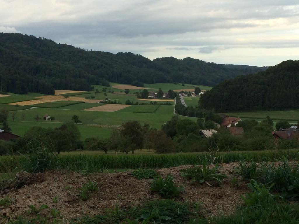 Bed and Breakfast Gastehaus Zum Tulpenbaum Turbenthal Экстерьер фото